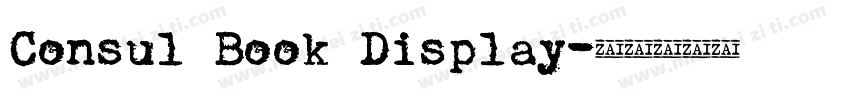 Consul Book Display字体转换